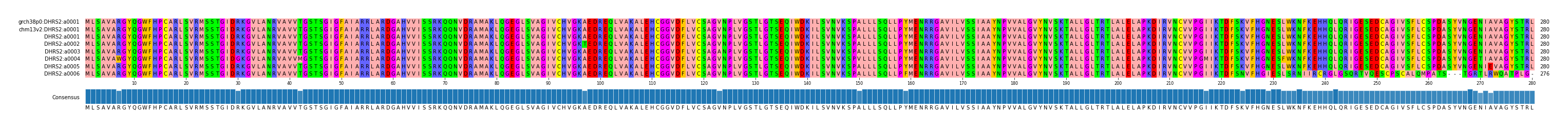 Multiple Alignments (by translate haplotype frequency)