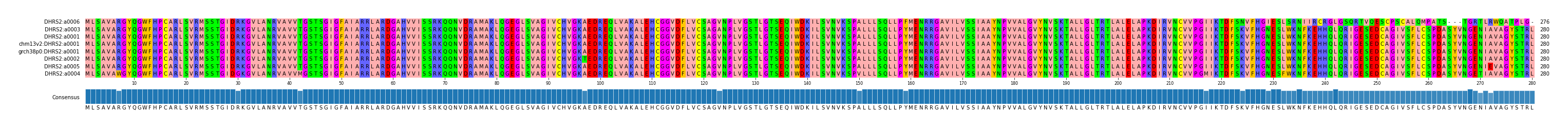 Multiple Alignments (by translate haplotype similarity)