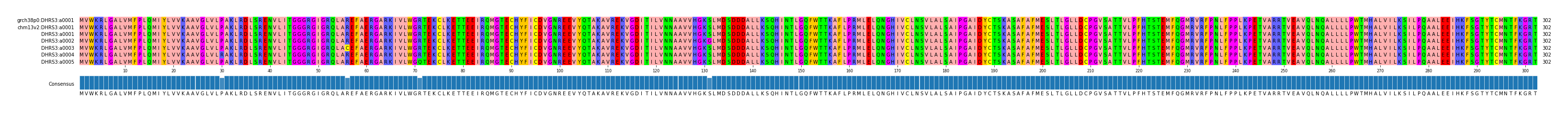 Multiple Alignments (by translate haplotype frequency)