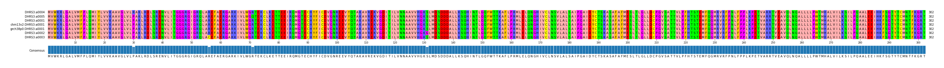 Multiple Alignments (by translate haplotype similarity)