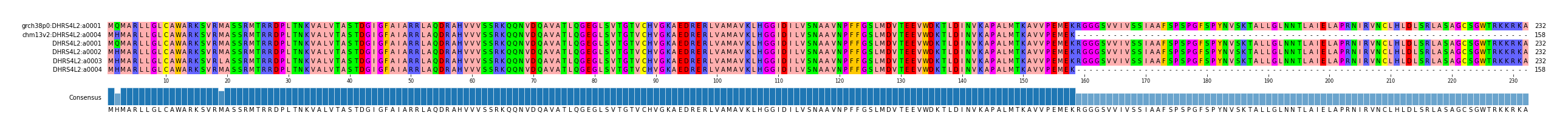 Multiple Alignments (by translate haplotype frequency)