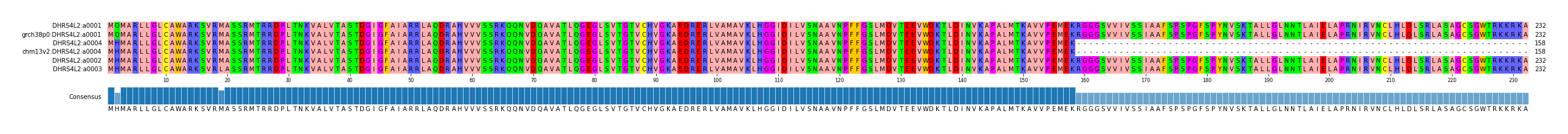 Multiple Alignments (by translate haplotype similarity)