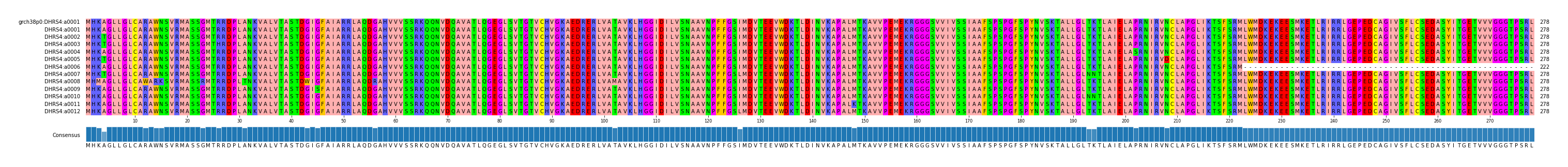 Multiple Alignments (by translate haplotype frequency)