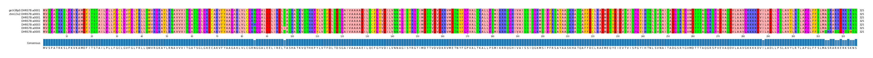 Multiple Alignments (by translate haplotype frequency)