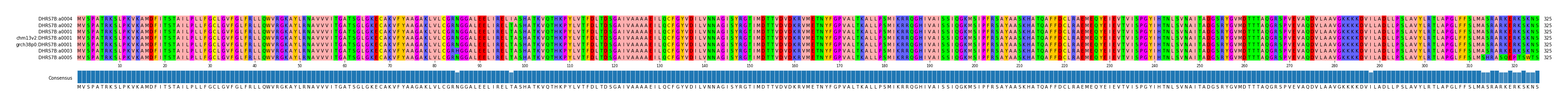 Multiple Alignments (by translate haplotype similarity)