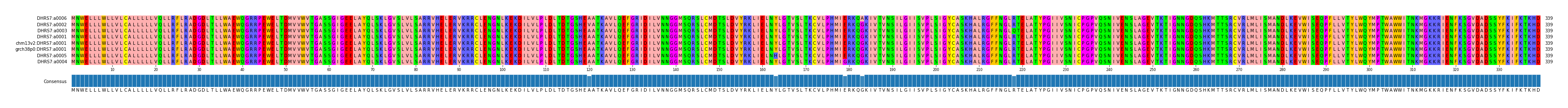 Multiple Alignments (by translate haplotype similarity)