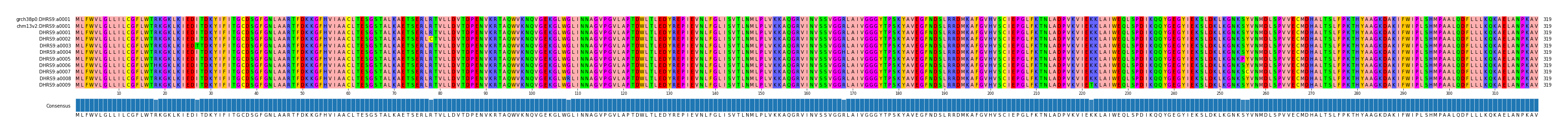 Multiple Alignments (by translate haplotype frequency)