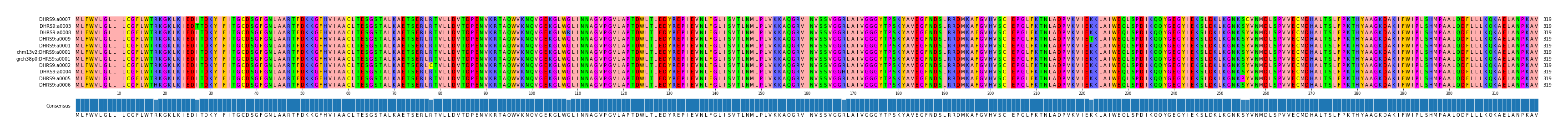 Multiple Alignments (by translate haplotype similarity)