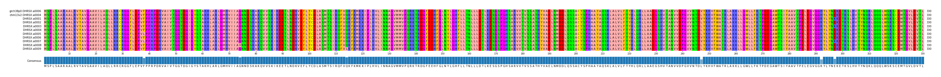 Multiple Alignments (by translate haplotype frequency)
