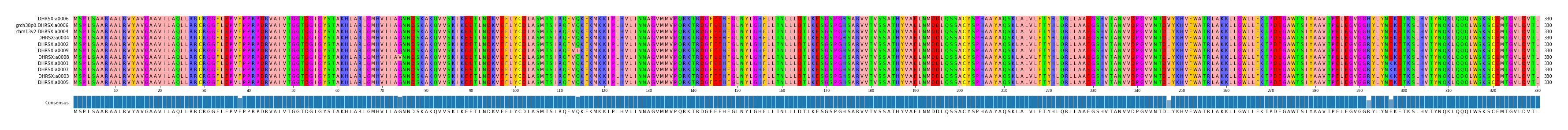 Multiple Alignments (by translate haplotype similarity)