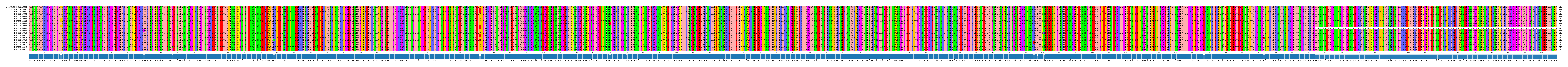 Multiple Alignments (by translate haplotype frequency)