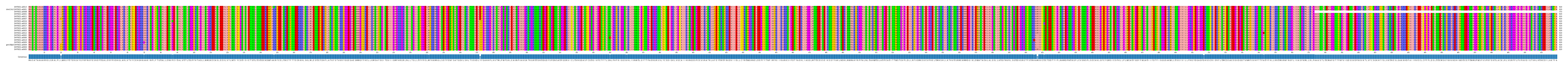 Multiple Alignments (by translate haplotype similarity)