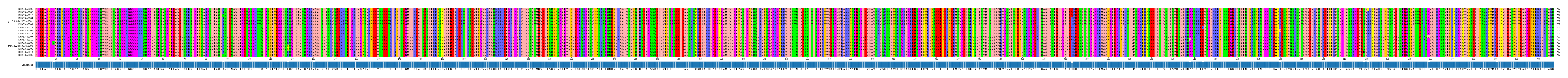 Multiple Alignments (by translate haplotype similarity)