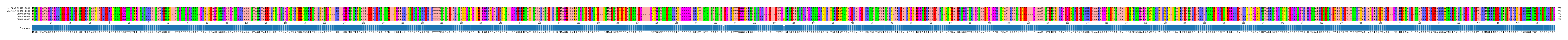 Multiple Alignments (by translate haplotype frequency)