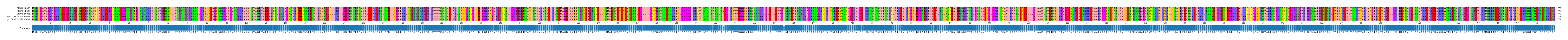 Multiple Alignments (by translate haplotype similarity)