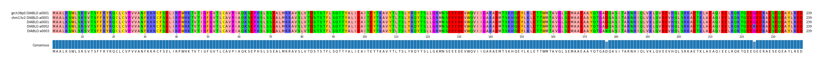 Multiple Alignments (by translate haplotype frequency)
