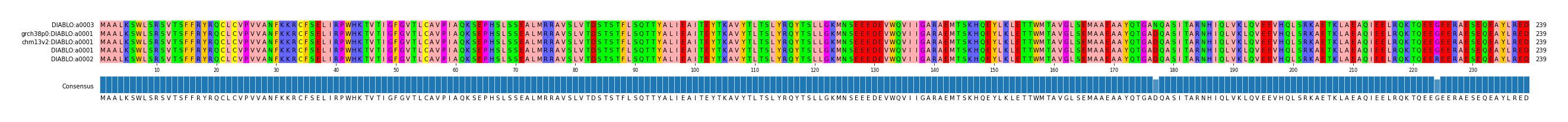 Multiple Alignments (by translate haplotype similarity)