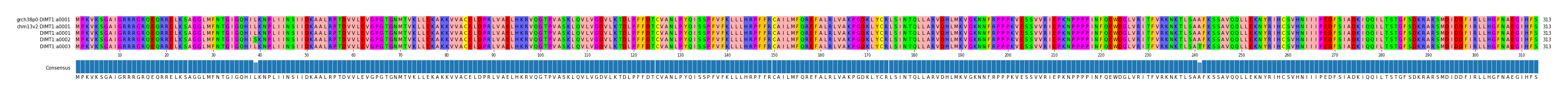 Multiple Alignments (by translate haplotype frequency)