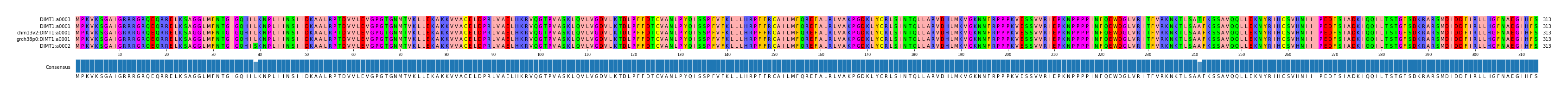 Multiple Alignments (by translate haplotype similarity)