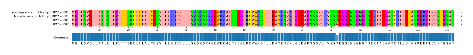 Multiple Alignments (by translate haplotype frequency)