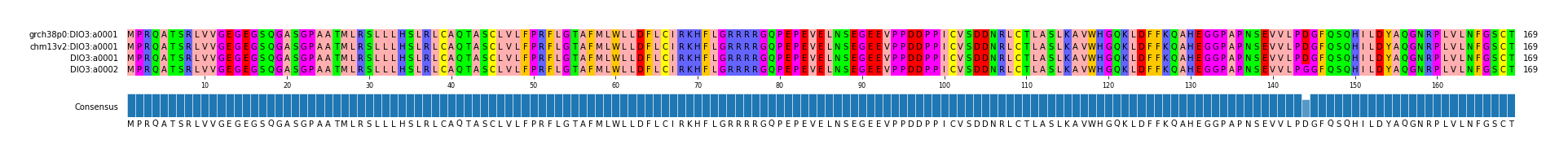 Multiple Alignments (by translate haplotype similarity)