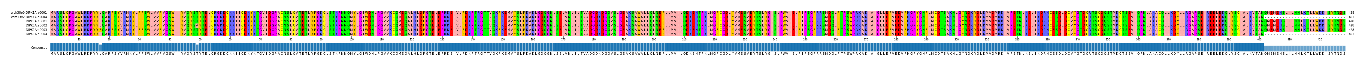 Multiple Alignments (by translate haplotype frequency)