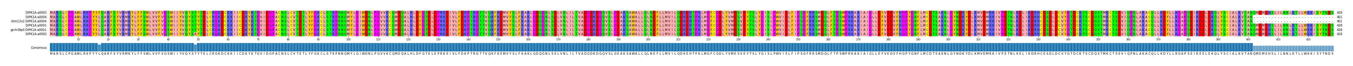 Multiple Alignments (by translate haplotype similarity)