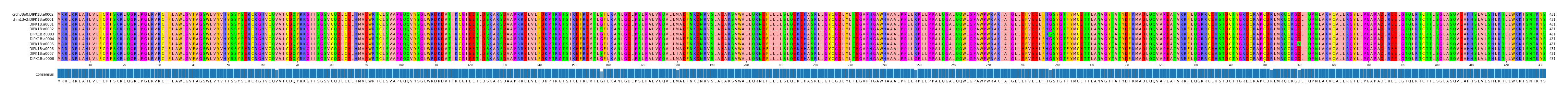 Multiple Alignments (by translate haplotype frequency)