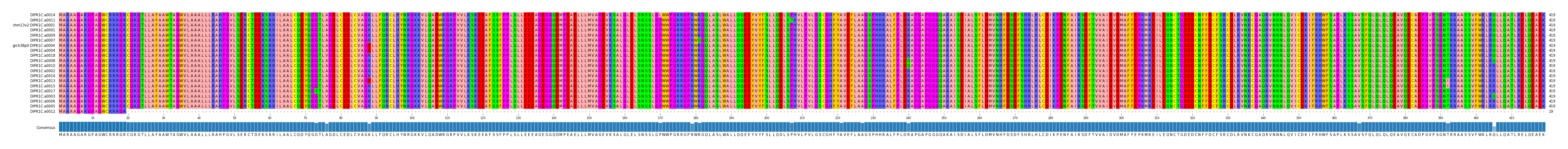 Multiple Alignments (by translate haplotype similarity)
