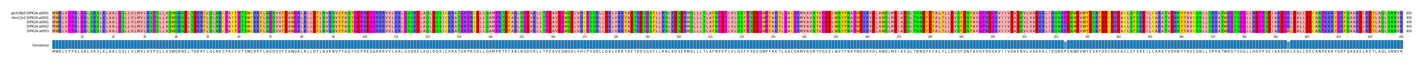 Multiple Alignments (by translate haplotype frequency)
