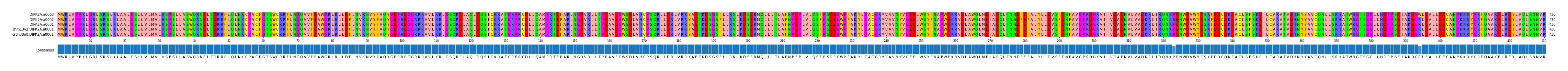 Multiple Alignments (by translate haplotype similarity)