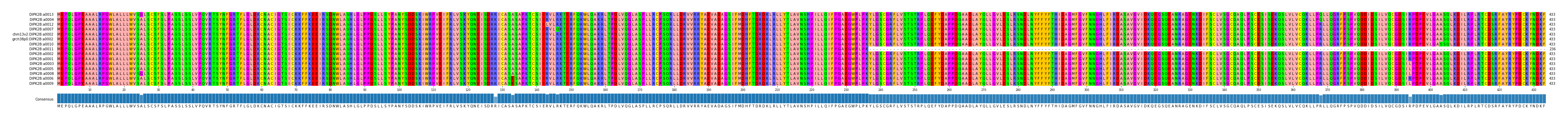 Multiple Alignments (by translate haplotype similarity)