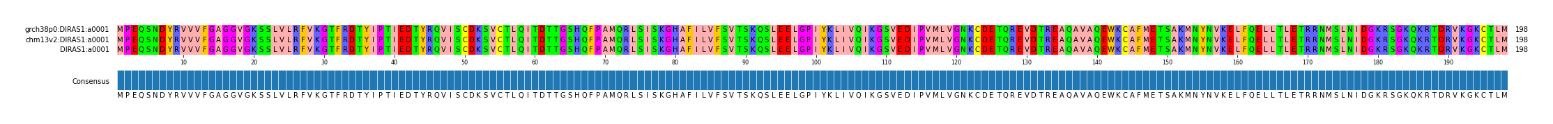 Multiple Alignments (by translate haplotype similarity)