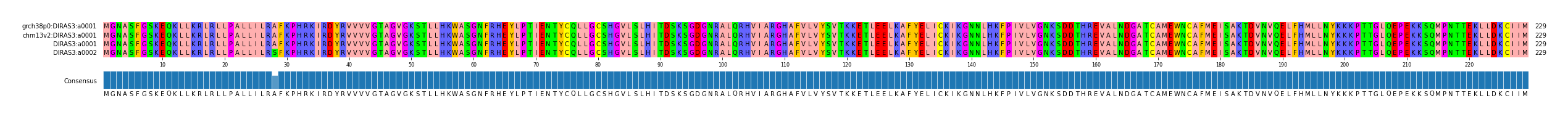 Multiple Alignments (by translate haplotype frequency)