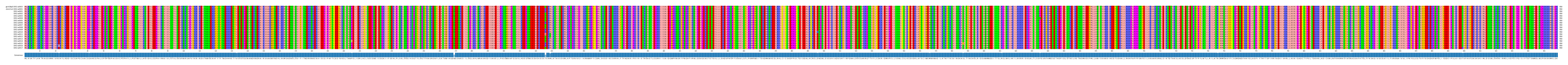 Multiple Alignments (by translate haplotype frequency)