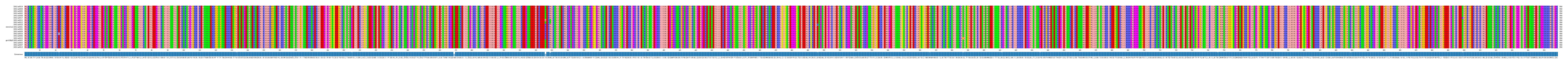 Multiple Alignments (by translate haplotype similarity)