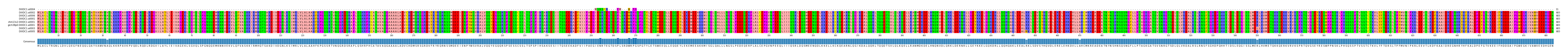 Multiple Alignments (by translate haplotype similarity)