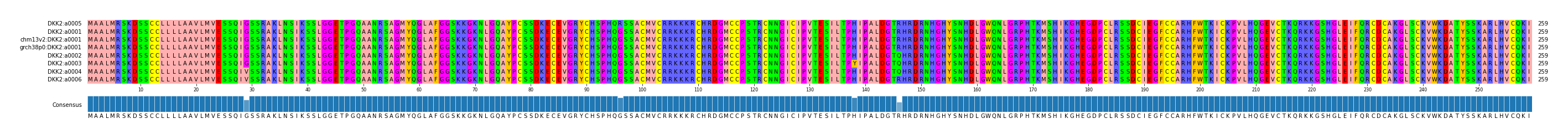 Multiple Alignments (by translate haplotype similarity)