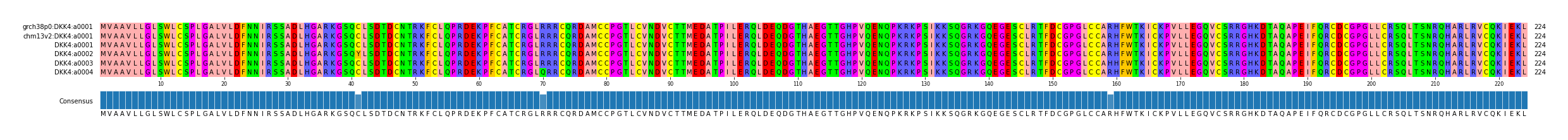 Multiple Alignments (by translate haplotype frequency)