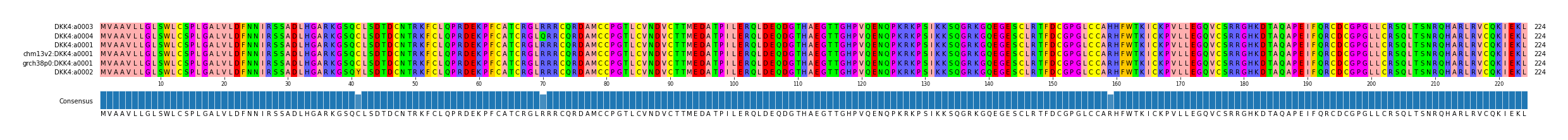 Multiple Alignments (by translate haplotype similarity)
