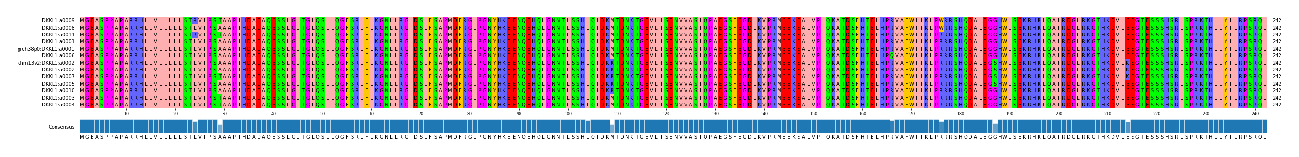 Multiple Alignments (by translate haplotype similarity)