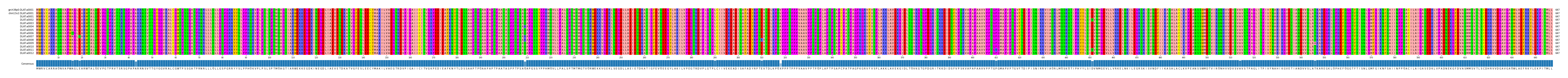 Multiple Alignments (by translate haplotype frequency)
