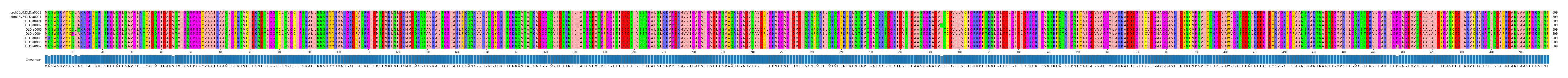 Multiple Alignments (by translate haplotype frequency)