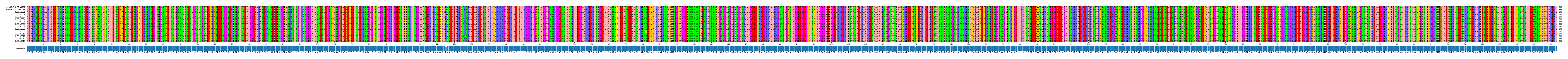 Multiple Alignments (by translate haplotype frequency)