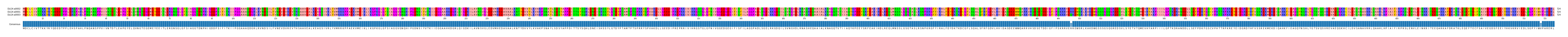 Multiple Alignments (by translate haplotype similarity)