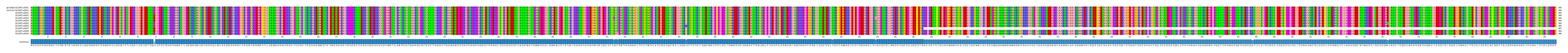 Multiple Alignments (by translate haplotype frequency)
