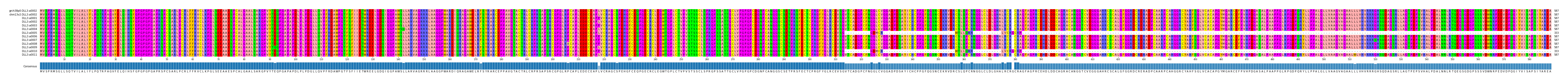 Multiple Alignments (by translate haplotype frequency)