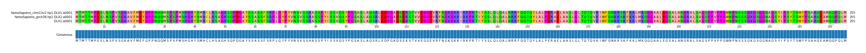 Multiple Alignments (by translate haplotype similarity)