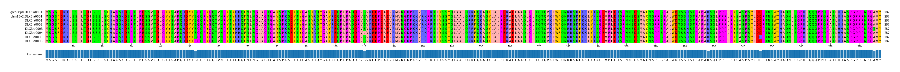 Multiple Alignments (by translate haplotype frequency)