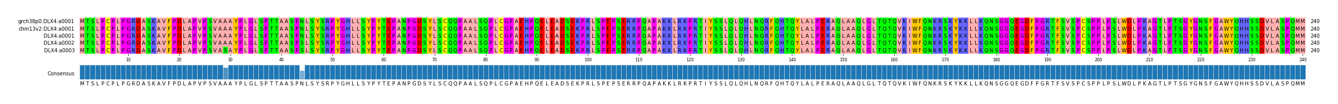 Multiple Alignments (by translate haplotype similarity)